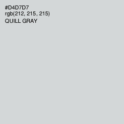 #D4D7D7 - Quill Gray Color Image